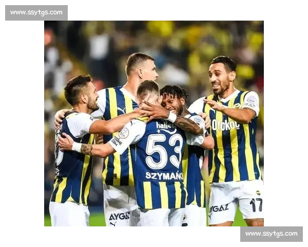 塞尔：西足协表态皇萨冲突不碍国家队团结